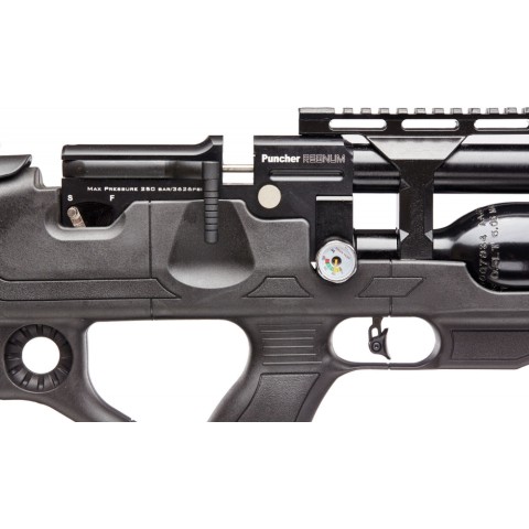 Kral Regnum PCP Synthetic